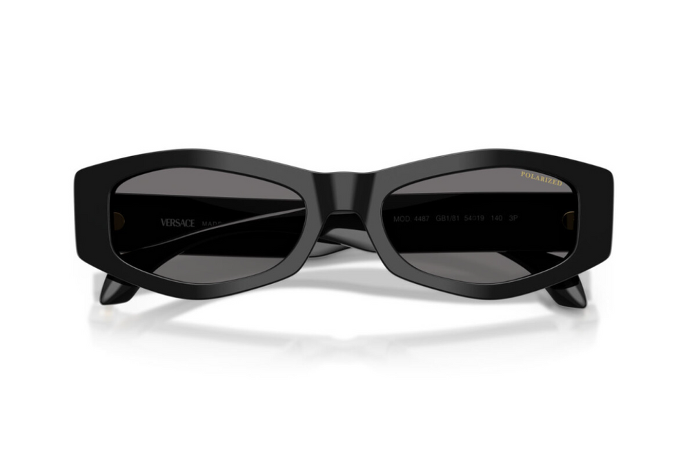 Versace Sunglasses VE4487-GB1/81