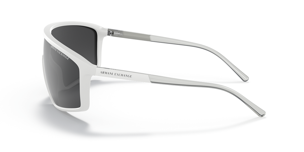 Exchange Armani Sunglasses AX4119S-81566G