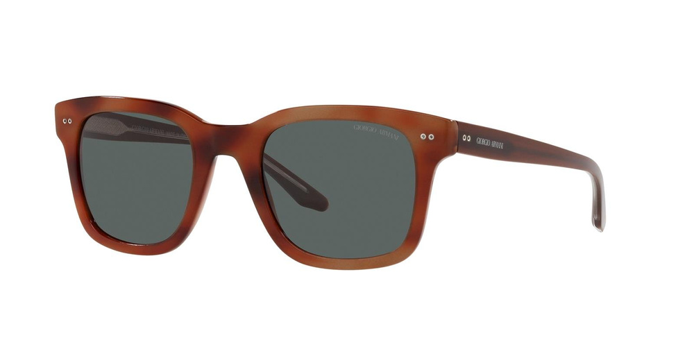 Giorgio Armani Sunglasses AR8138-5573B1