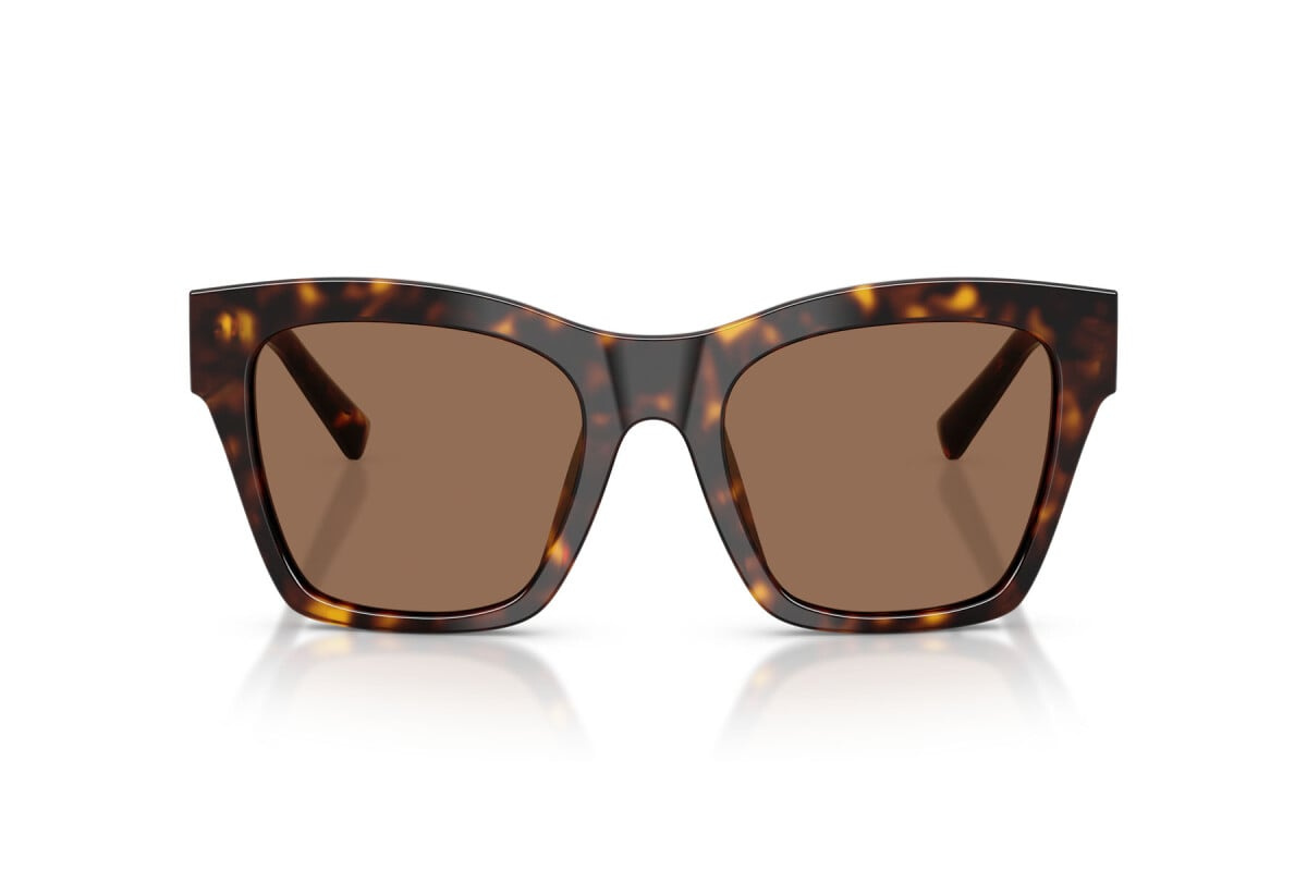 Dolce & Gabbana Sunglasses DG4512-502/73