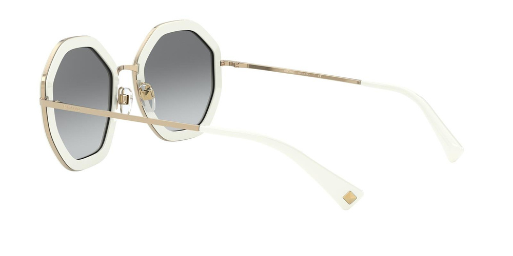 Valentino Sunglasses VA2042-300211