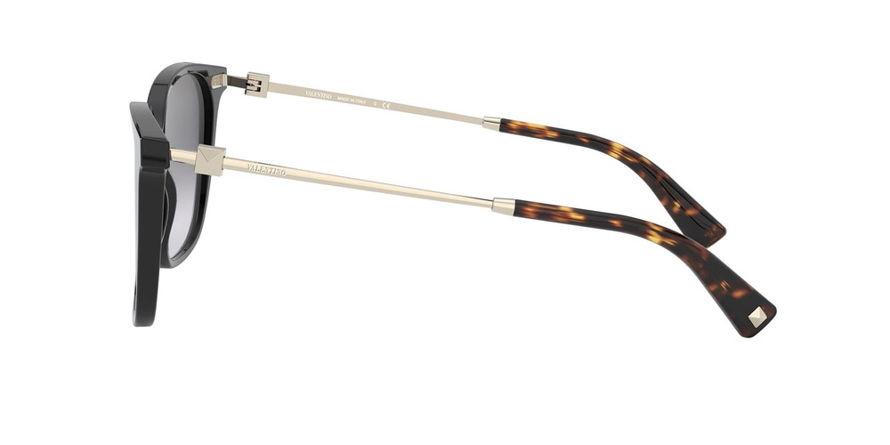 Valentino Sunglasses VA4078-50018G