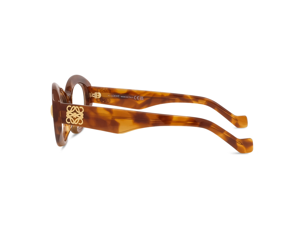 Loewe Sunglasses LW500901-053