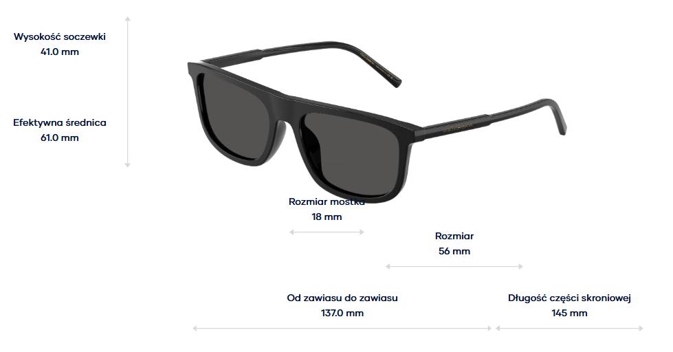Dolce & Gabbana Sunglasses DG4542-501/87