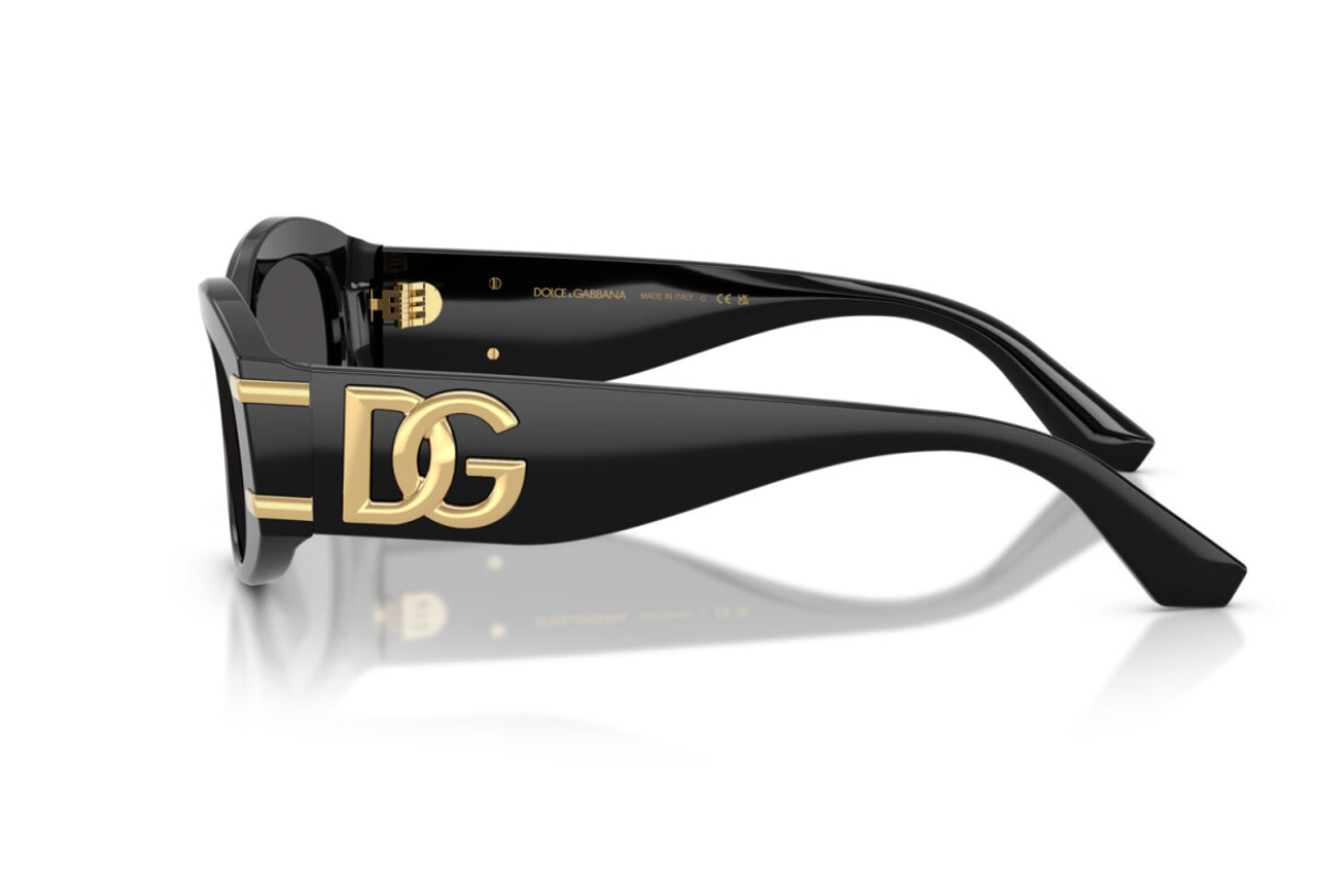 Dolce & Gabbana Sunglasses DG4502-501/87