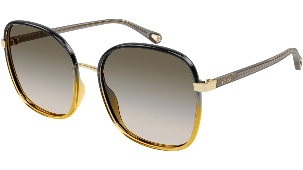 Chloe Sunglasses CH0031S-010