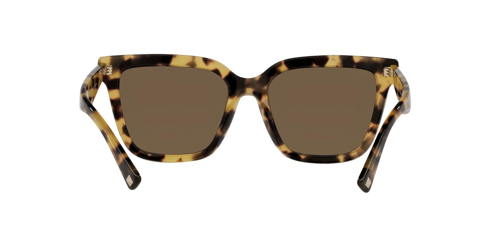 Valentino Sunglasses VA4084-503673