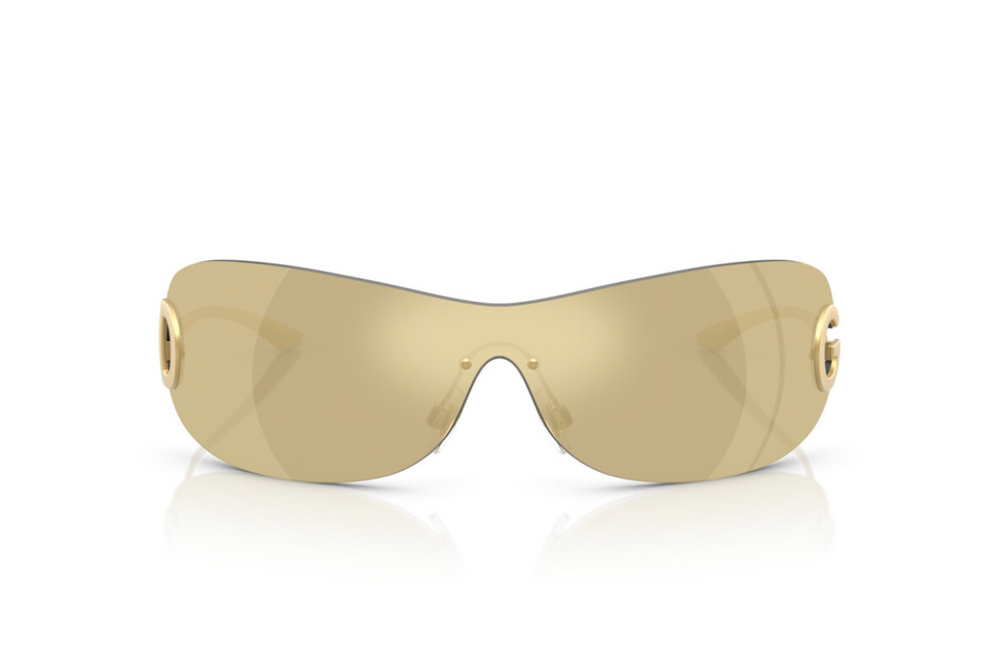 Dolce & Gabbana Sunglasses DG2308-12246E