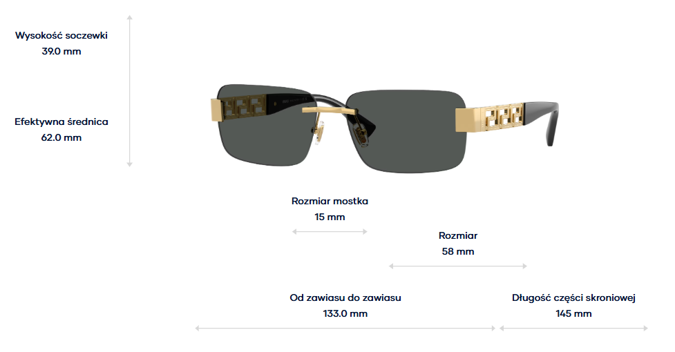 Versace Okulary przeciwsłoneczne VE2298-100287