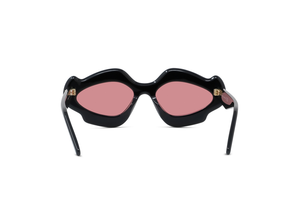 Sunglasses Loewe Paula'S Ibiza LW40109U-01Y
