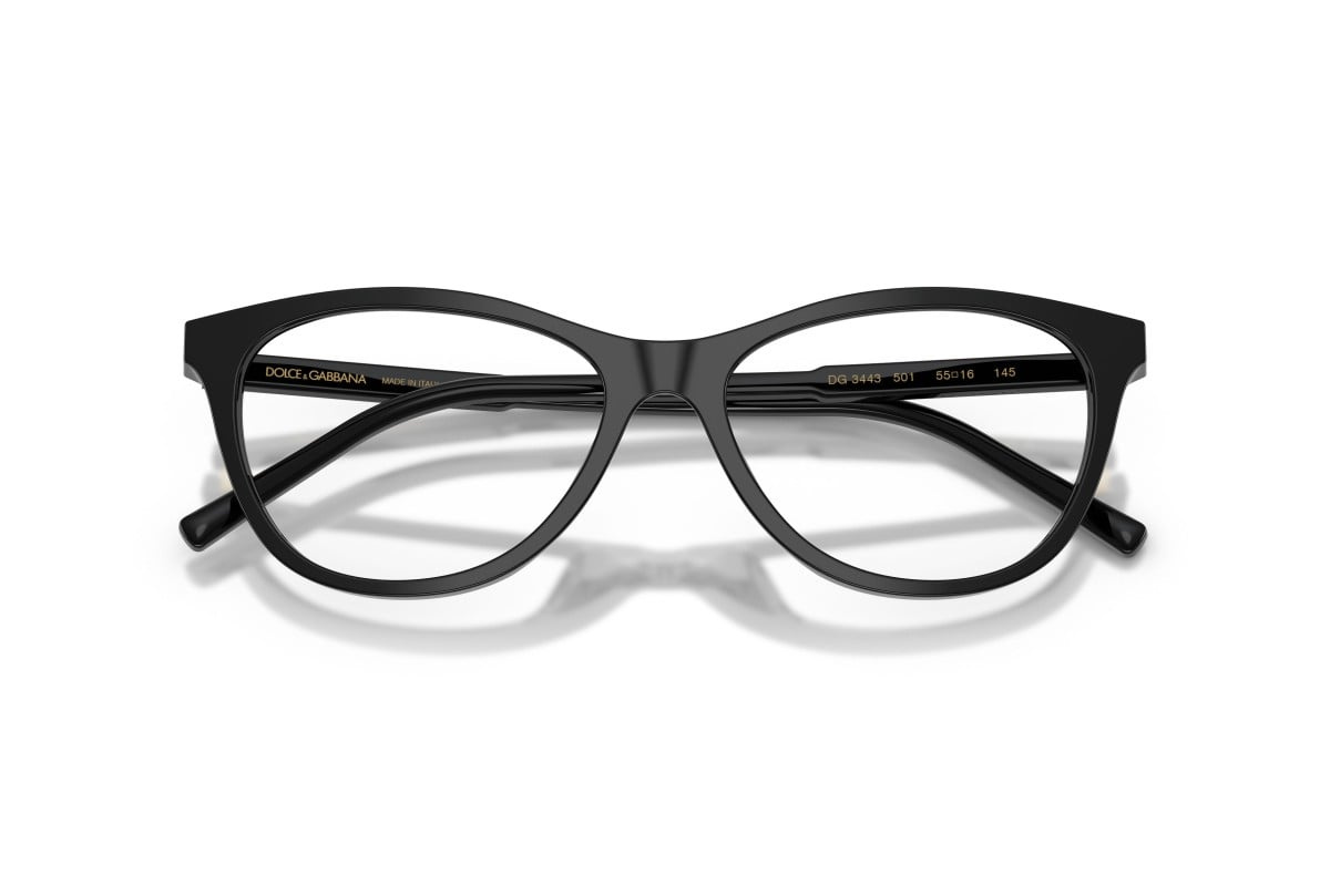 Dolce & Gabbana Optical frame DG3443-501