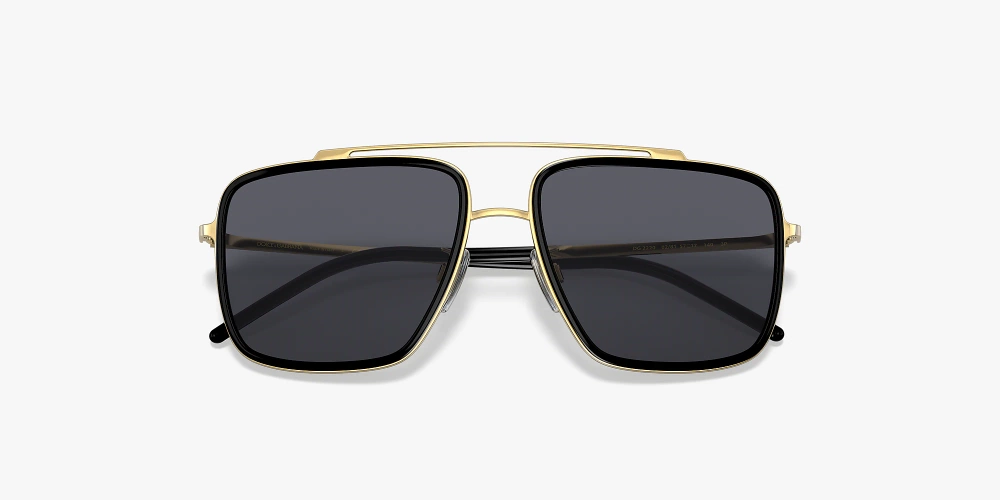 Dolce & Gabbana Sunglasses DG2220-02/81