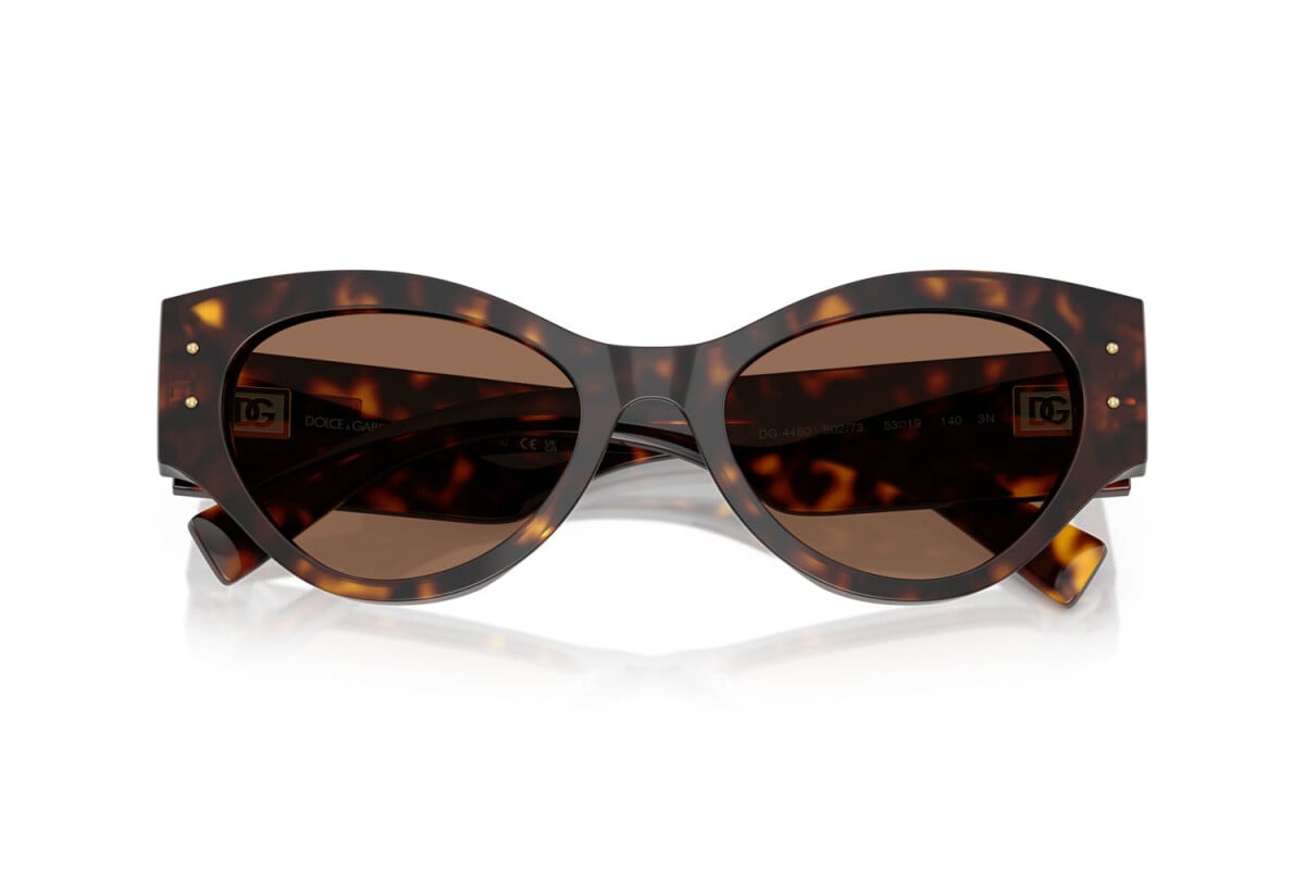 Dolce & Gabbana Sunglasses DG4480-502/73