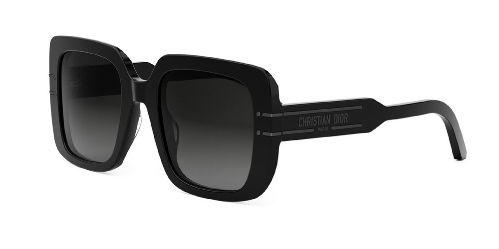 Dior Sunglasses DIORSIGNATURE (S11I-14A1) CD40171I-01B