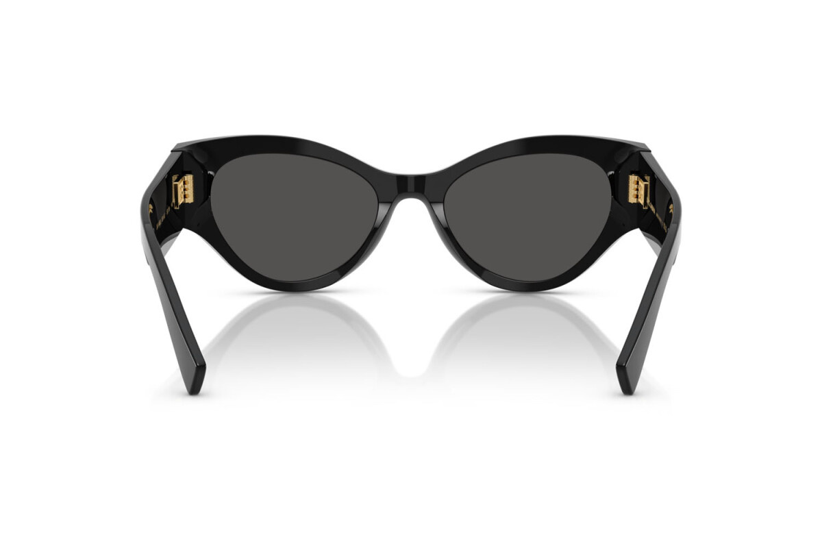 Dolce & Gabbana Sunglasses DG4480-501/87