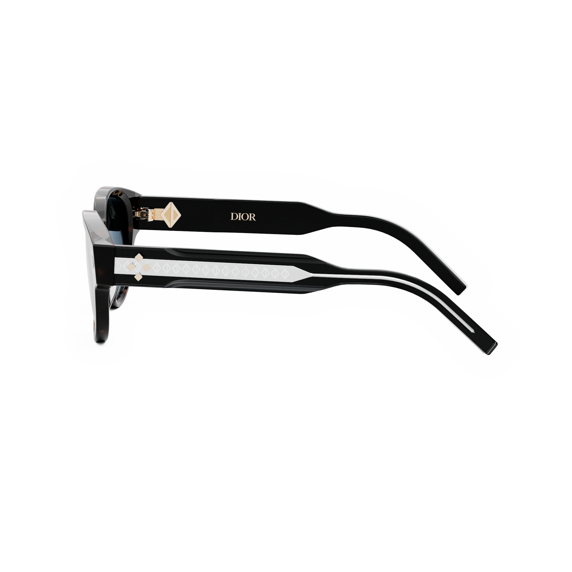 Dior Sunglasses CD (DIAMOND_R2I_25B0) DM40110I-56V
