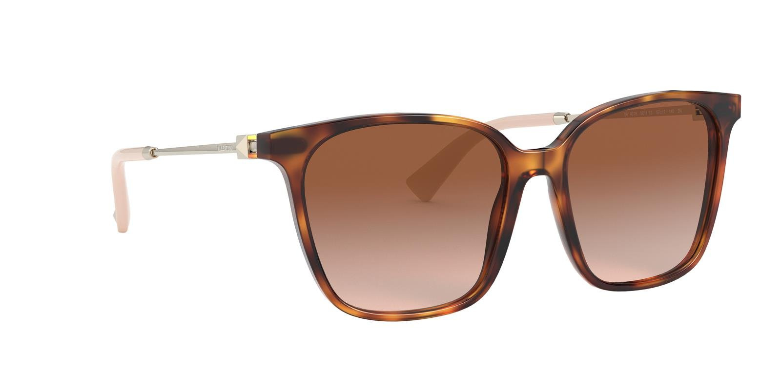 Valentino Sunglasses VA4078-501113