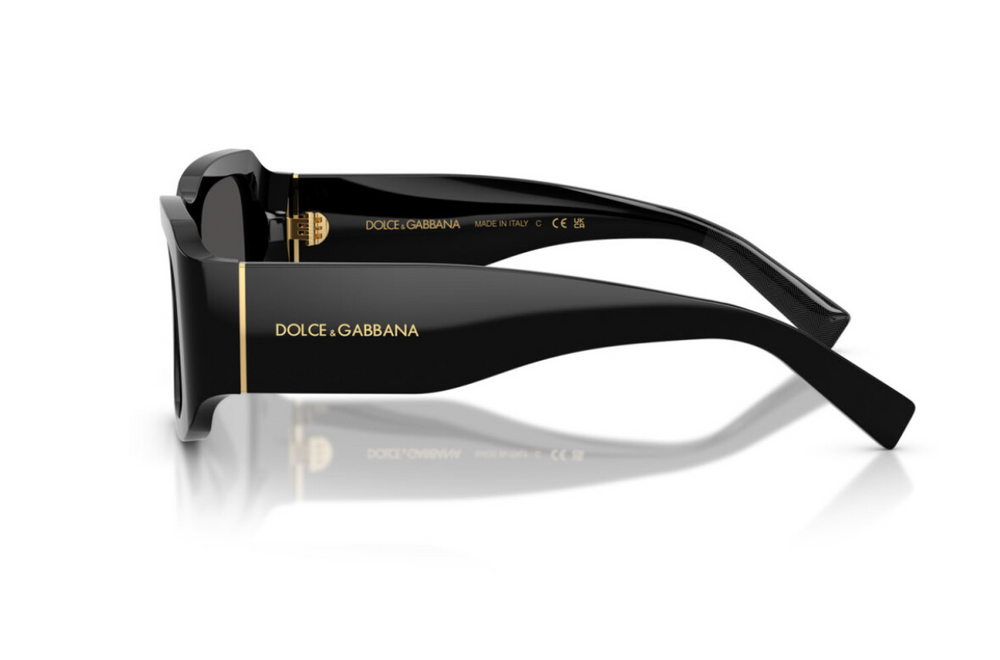 Dolce & Gabbana Sunglasses DG4503-501/87