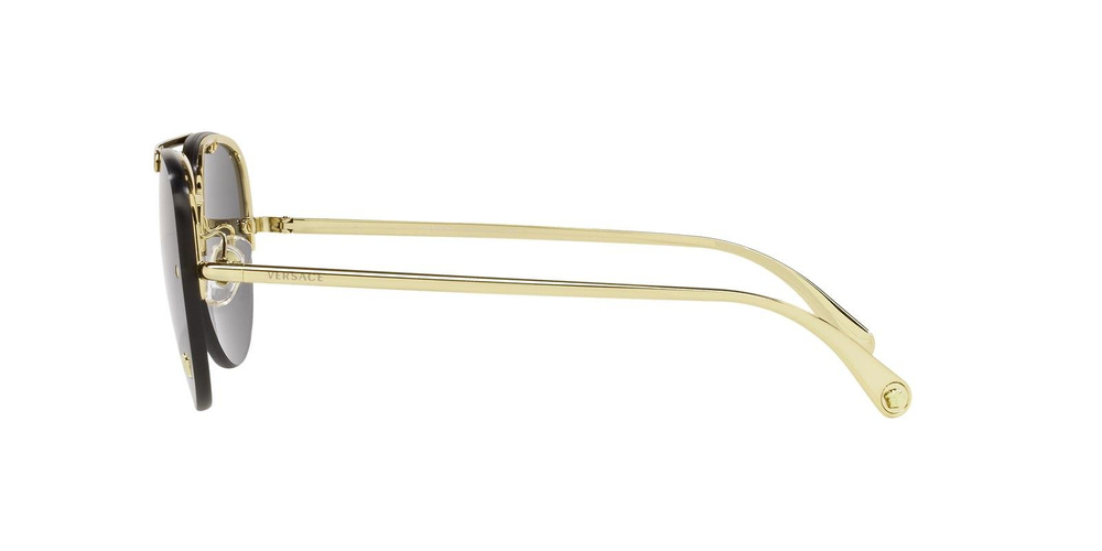 Versace Sunglasses VE2231-100287