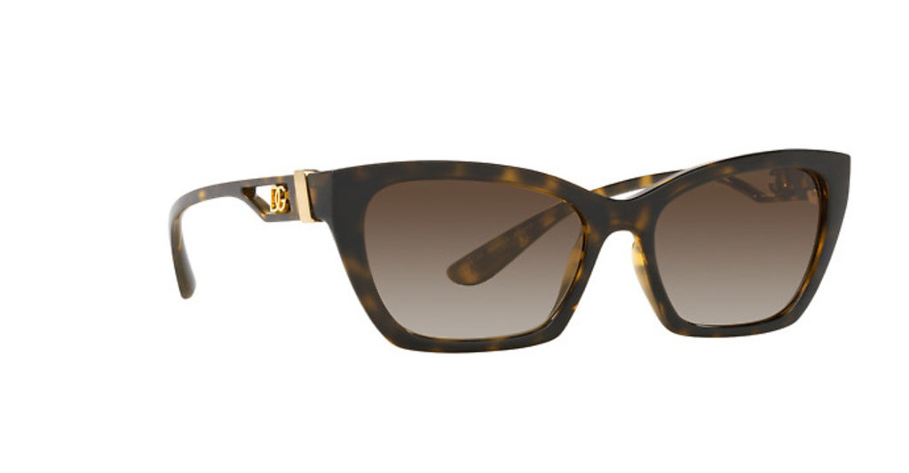 Dolce & Gabbana Sunglasses DG6155-502/13