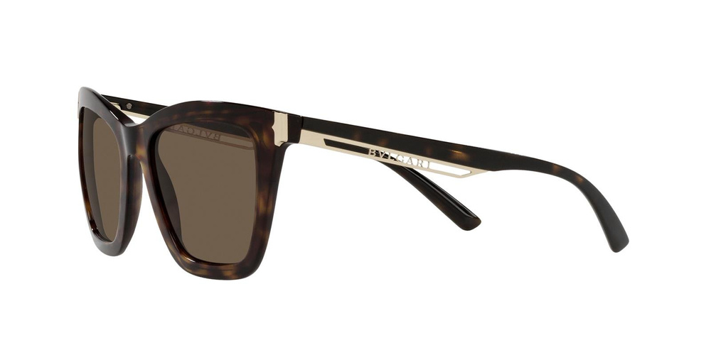 Bvlgari Sunglasses BV8233-504/73