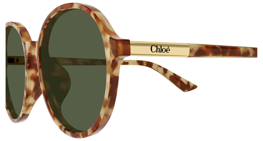 Chloé Sunglasses CH0365SK-004