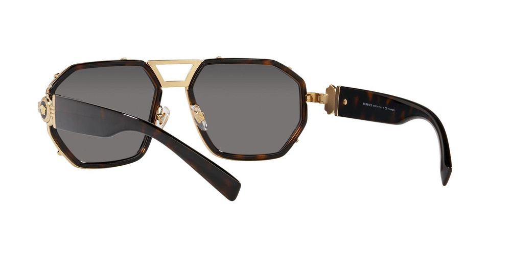 Versace Sunglasses VE2228-100281