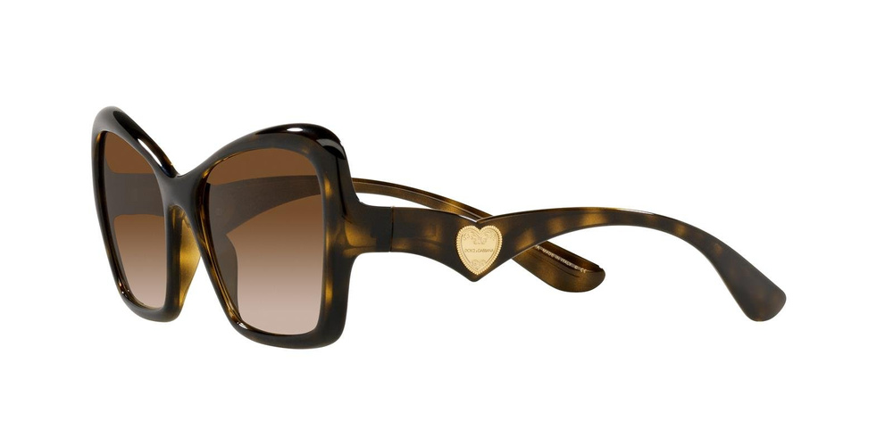 Dolce & Gabbana Sunglasses DG6153-502/13