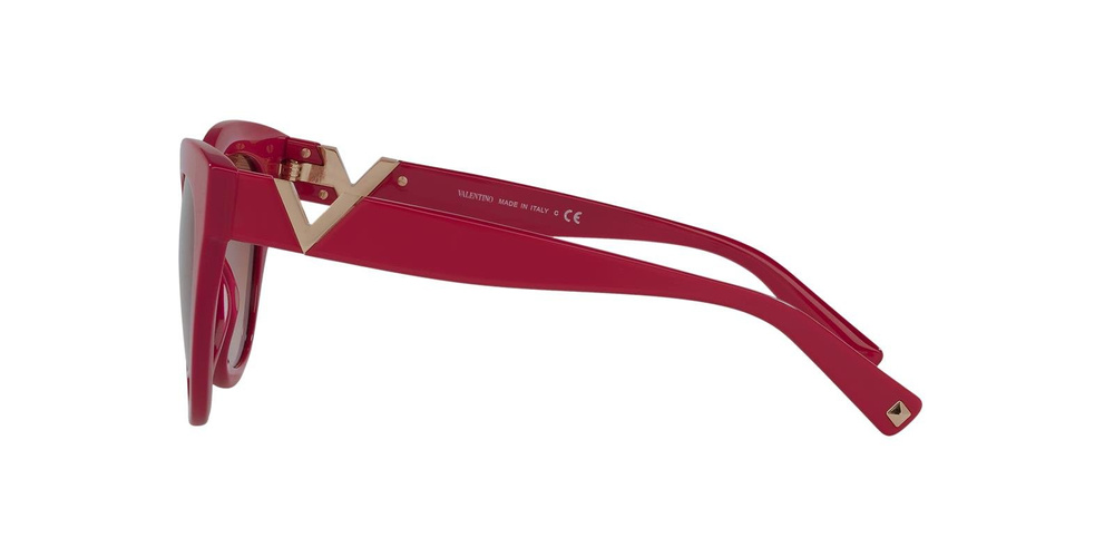 Valentino Sunglasses VA4089-511013