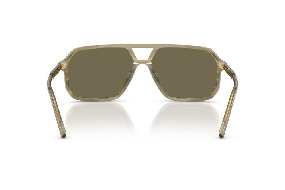 Dolce & Gabbana Sunglasses DG4541-3480/3