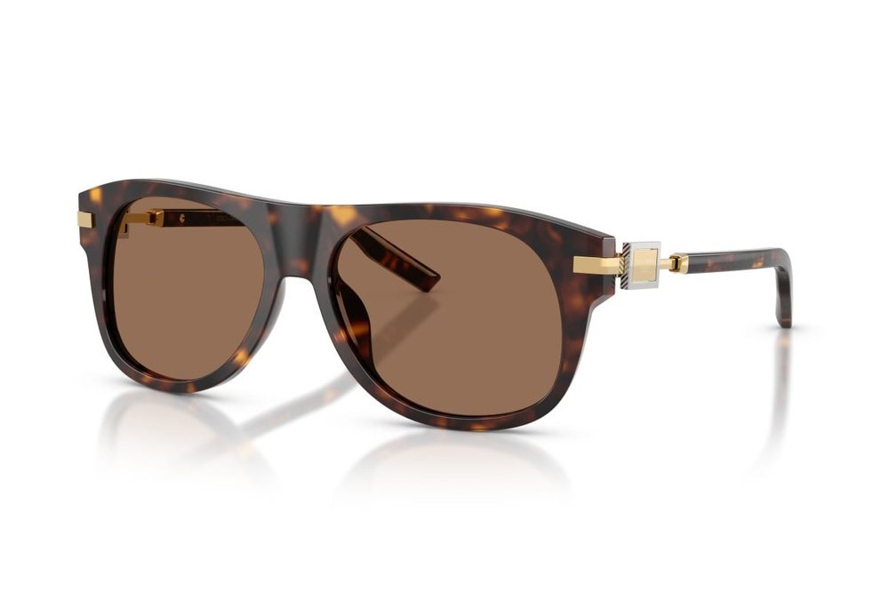 Dolce & Gabbana Sunglasses DG4546-502/73