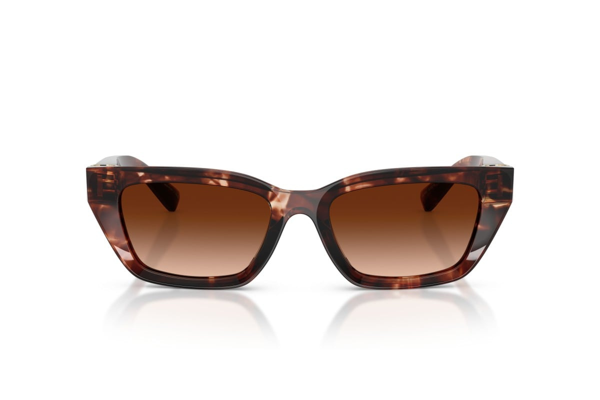 Dolce & Gabbana Sunglasses DG4532-322274