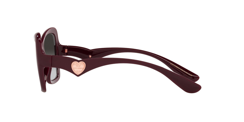 Dolce & Gabbana Sunglasses DG6153-32858G