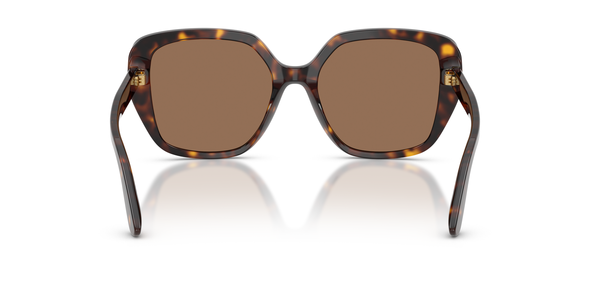 DOLCE & GABBANA Sunglasses DG4569-502/73