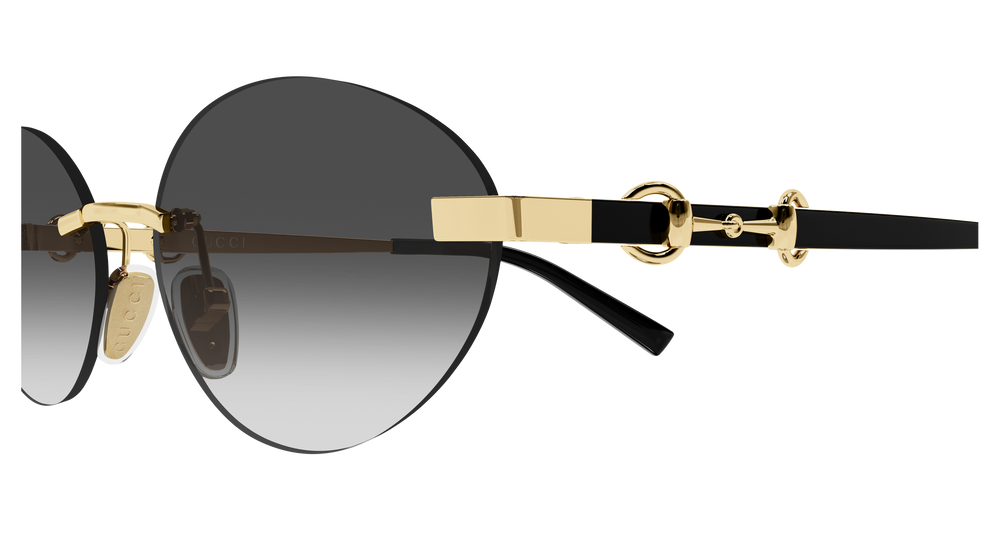 Gucci Sunglasses GG2051S-001
