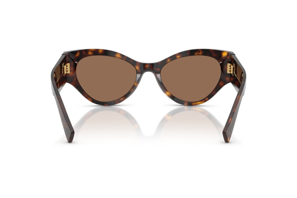 Dolce & Gabbana Okulary przeciwsłoneczne DG4480-502/73