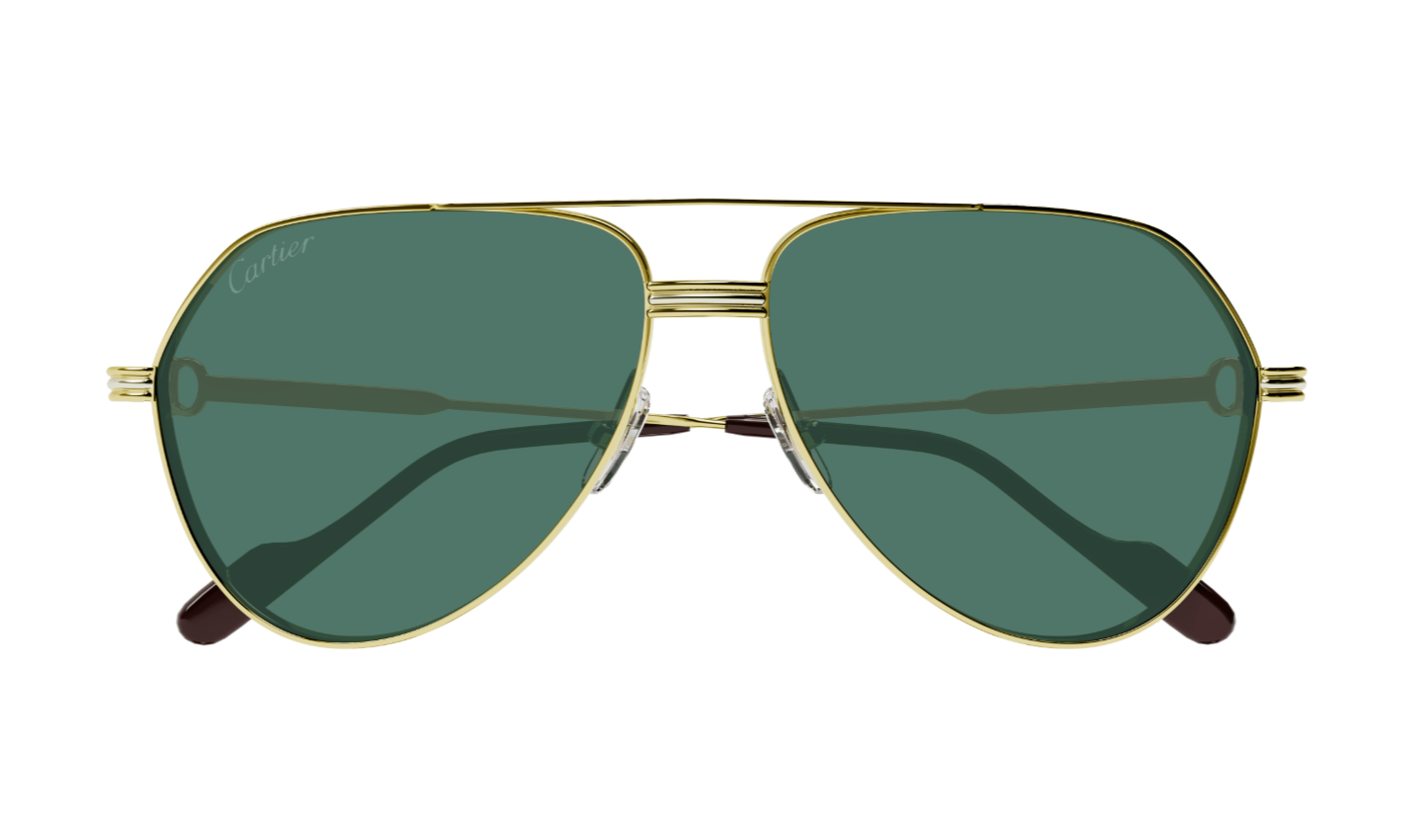 CARTIER Sunglasses CT0303S-004