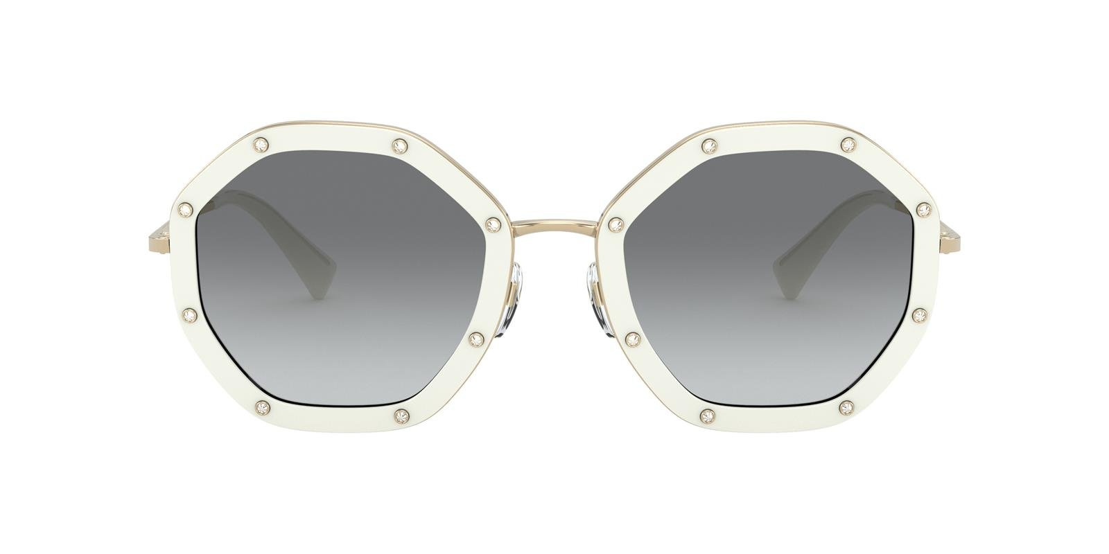 Valentino Sunglasses VA2042-300211