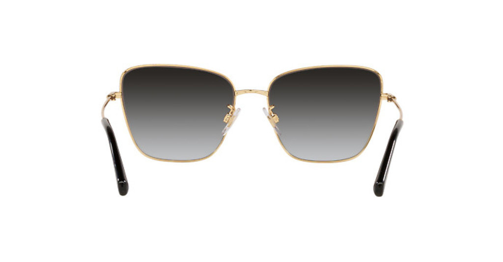 Dolce & Gabbana Sunglasses DG2275-13348G