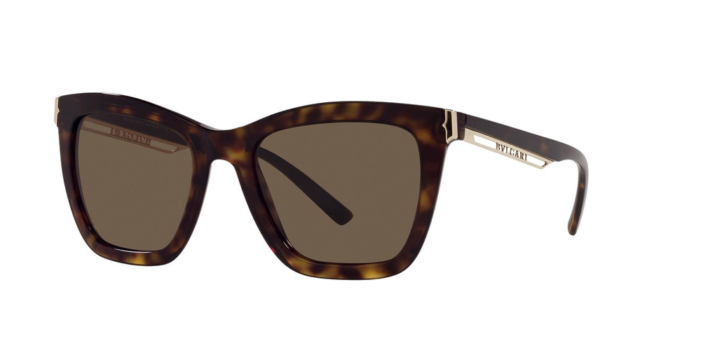 Bvlgari Sunglasses BV8233-504/73