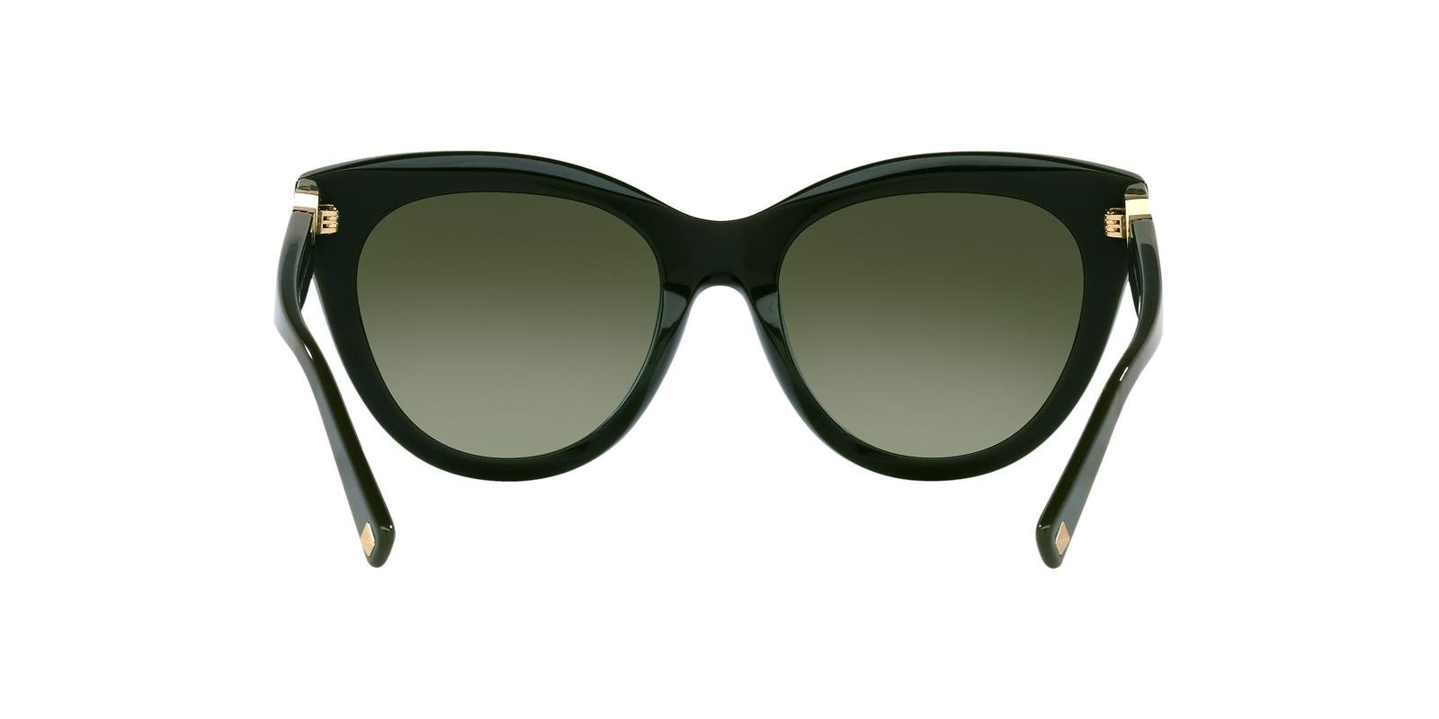Valentino Sunglasses VA4089-51768E