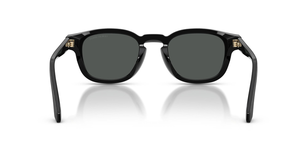 Giorgio Armani Sunglasses AR8254U-500987