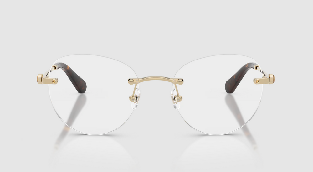 Swarovski Optical frame SK1021-4013