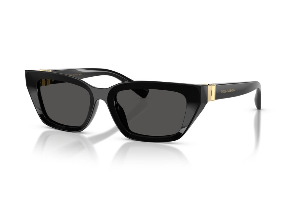 Dolce & Gabbana Sunglasses DG4532-501/87