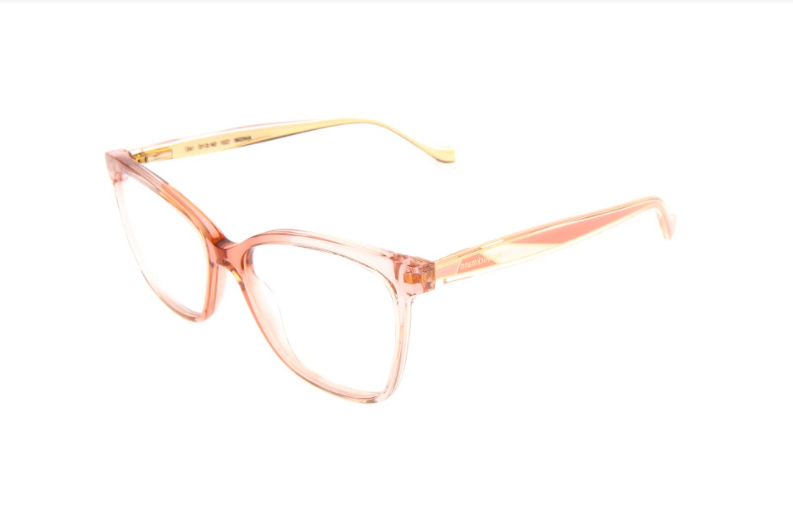 Ana Hickmann Optical frame AH6396-C01