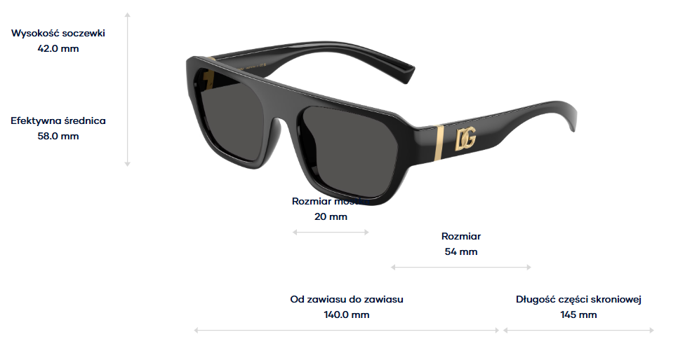 Dolce & Gabbana Sunglasses DG6206-501/87
