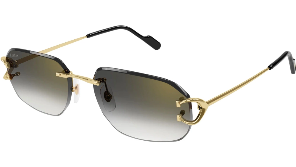 Cartier Okulary przeciwsłoneczne CT0468S-001