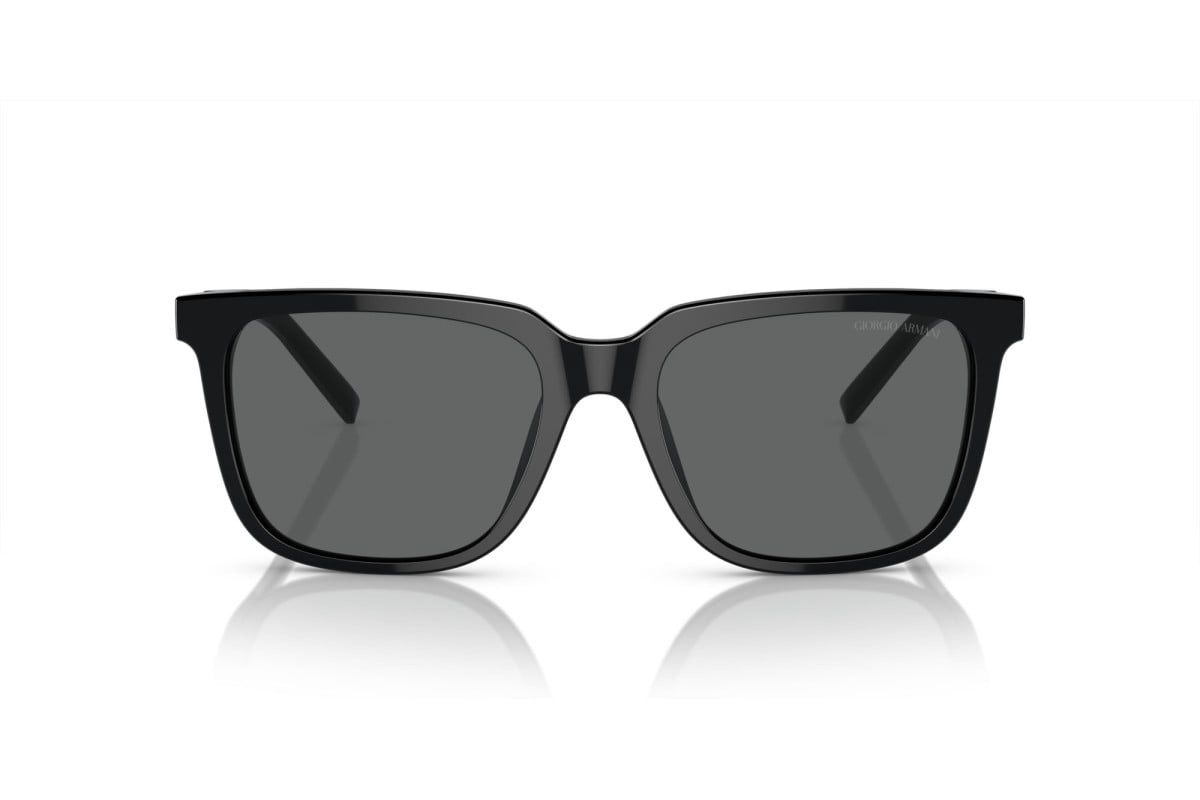 Giorgio Armani Sunglasses AR8202U-587587