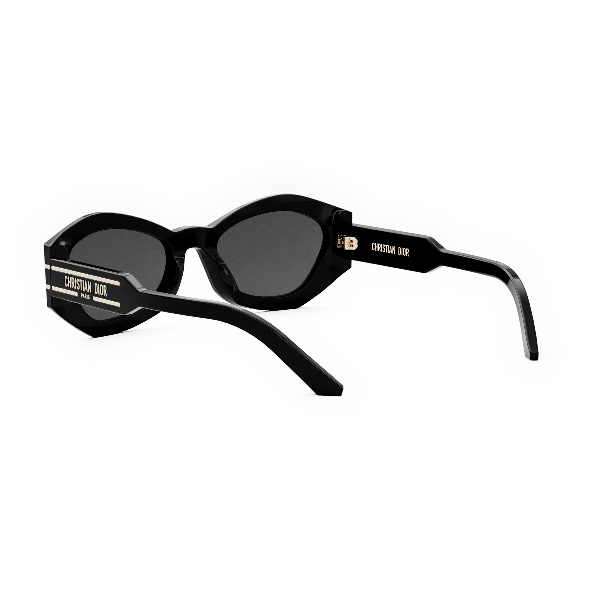 Dior Sunglasses DIORSIGNATURE (B1U_10A0) CD40139U-01A