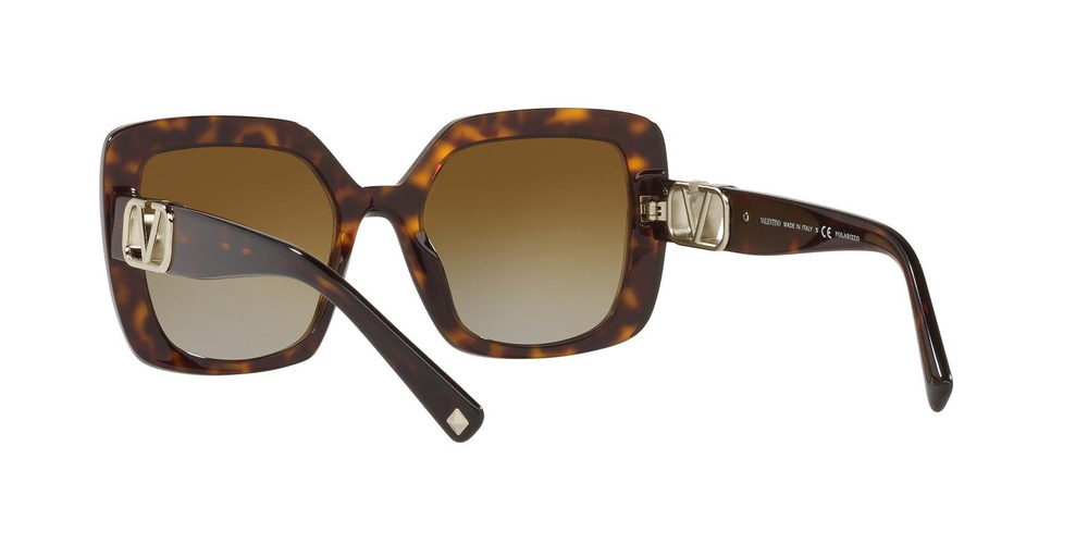 Valentino Sunglasses VA4065-5002T5